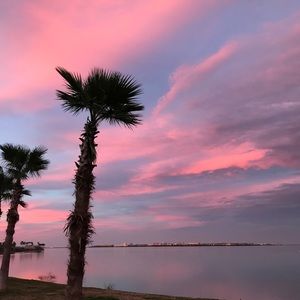 Meet your Posher, Monika